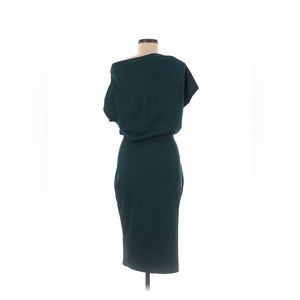 Beautiful Form Fitting Dress